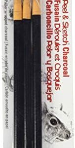 Peel & Sketch Charcoal Pencils 3/Pkg-